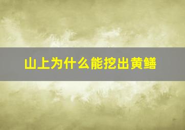 山上为什么能挖出黄鳝