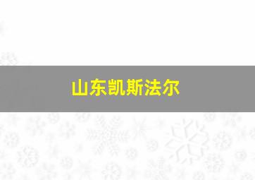 山东凯斯法尔