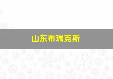 山东布瑞克斯