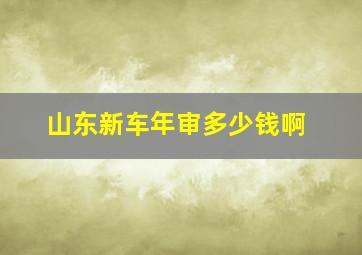 山东新车年审多少钱啊