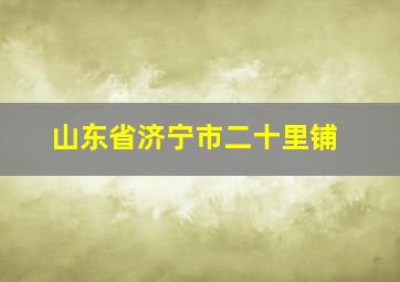 山东省济宁市二十里铺