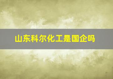 山东科尔化工是国企吗