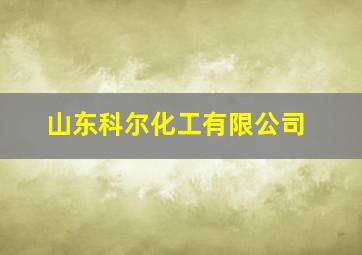 山东科尔化工有限公司