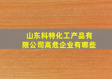 山东科特化工产品有限公司高危企业有哪些