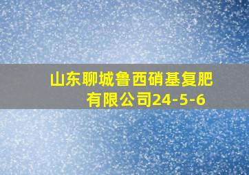 山东聊城鲁西硝基复肥有限公司24-5-6