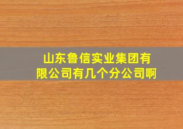 山东鲁信实业集团有限公司有几个分公司啊