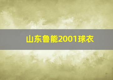 山东鲁能2001球衣