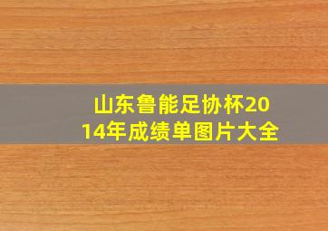 山东鲁能足协杯2014年成绩单图片大全