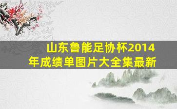 山东鲁能足协杯2014年成绩单图片大全集最新