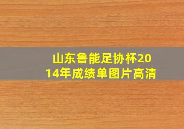 山东鲁能足协杯2014年成绩单图片高清