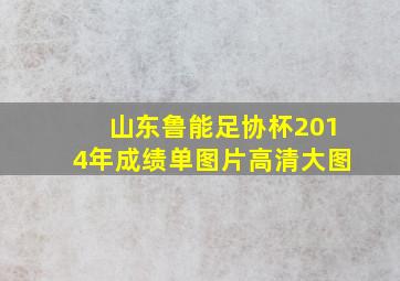 山东鲁能足协杯2014年成绩单图片高清大图