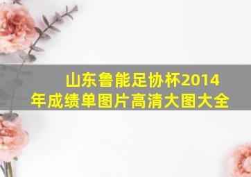 山东鲁能足协杯2014年成绩单图片高清大图大全