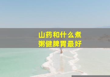 山药和什么煮粥健脾胃最好