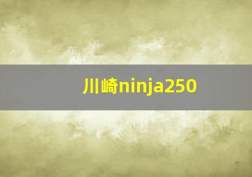 川崎ninja250