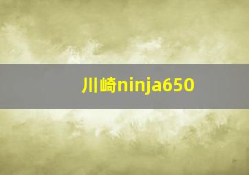 川崎ninja650