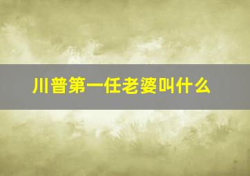 川普第一任老婆叫什么