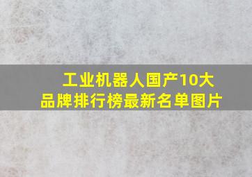 工业机器人国产10大品牌排行榜最新名单图片