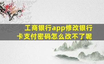 工商银行app修改银行卡支付密码怎么改不了呢