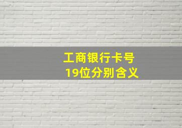 工商银行卡号19位分别含义