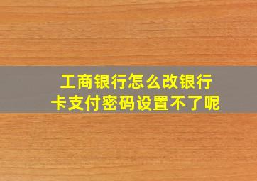 工商银行怎么改银行卡支付密码设置不了呢