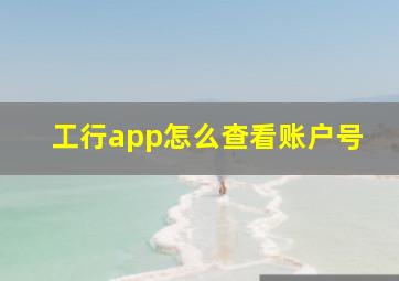 工行app怎么查看账户号