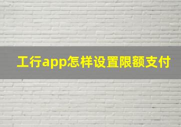 工行app怎样设置限额支付