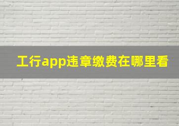 工行app违章缴费在哪里看