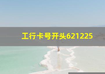 工行卡号开头621225