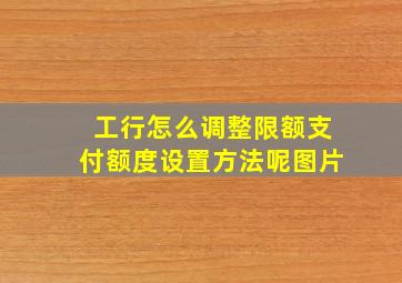 工行怎么调整限额支付额度设置方法呢图片