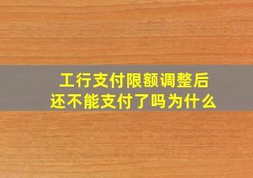 工行支付限额调整后还不能支付了吗为什么