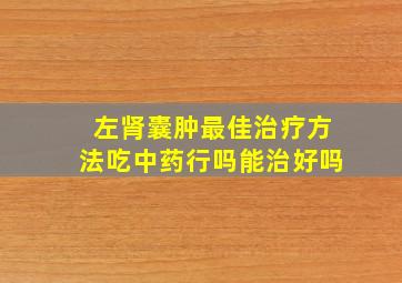 左肾囊肿最佳治疗方法吃中药行吗能治好吗