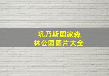 巩乃斯国家森林公园图片大全