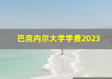 巴克内尔大学学费2023