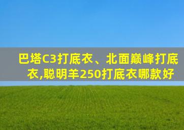 巴塔C3打底衣、北面巅峰打底衣,聪明羊250打底衣哪款好