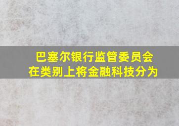 巴塞尔银行监管委员会在类别上将金融科技分为