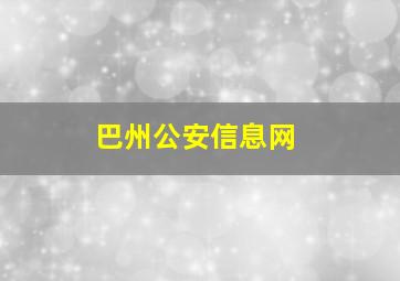 巴州公安信息网