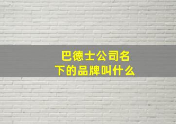 巴德士公司名下的品牌叫什么