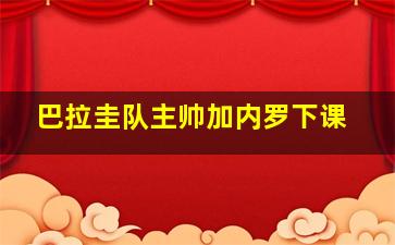 巴拉圭队主帅加内罗下课