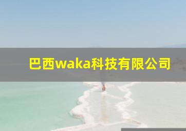 巴西waka科技有限公司