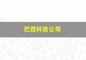 巴西科技公司