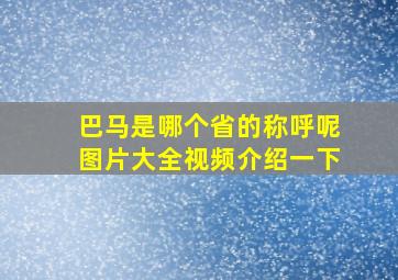 巴马是哪个省的称呼呢图片大全视频介绍一下