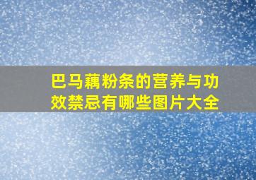 巴马藕粉条的营养与功效禁忌有哪些图片大全