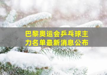 巴黎奥运会乒乓球主力名单最新消息公布