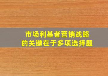 市场利基者营销战略的关键在于多项选择题