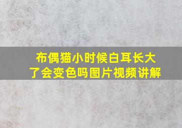 布偶猫小时候白耳长大了会变色吗图片视频讲解