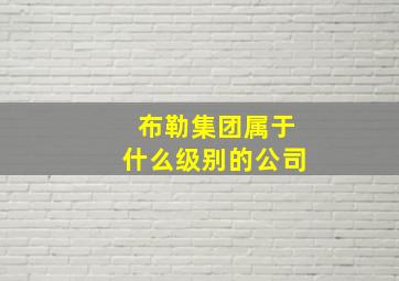 布勒集团属于什么级别的公司