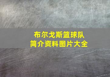 布尔戈斯篮球队简介资料图片大全