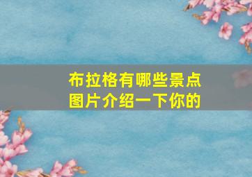 布拉格有哪些景点图片介绍一下你的