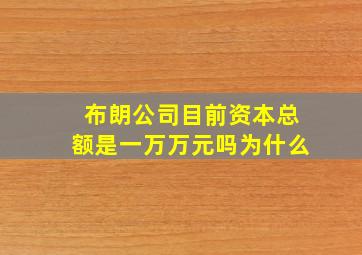 布朗公司目前资本总额是一万万元吗为什么