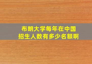 布朗大学每年在中国招生人数有多少名额啊